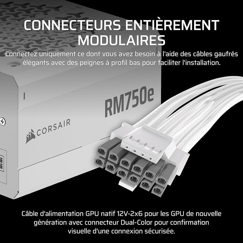 RM750e (2025) Alimentation ATX Entièrement Modulaire à Faible Bruit avec Câble 12V-2x6 – Compatible ATX 3.1 et PCIe 5.1, Efficacité Cybenetics Gold, Condensateurs Résistants à 105°C – Blanc