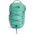 THE NORTH FACE 10L Mini Borealis Everyday Backpack, Wasabi/Harbor Blue, One Size