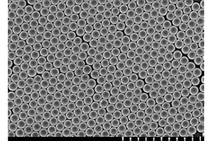 ALPHA NANOTECH INC. Alpha Nanotech Colloidal Polystyrene Beads (Carboxylated, 200 nm, 10 mg/ml, 10 ml)