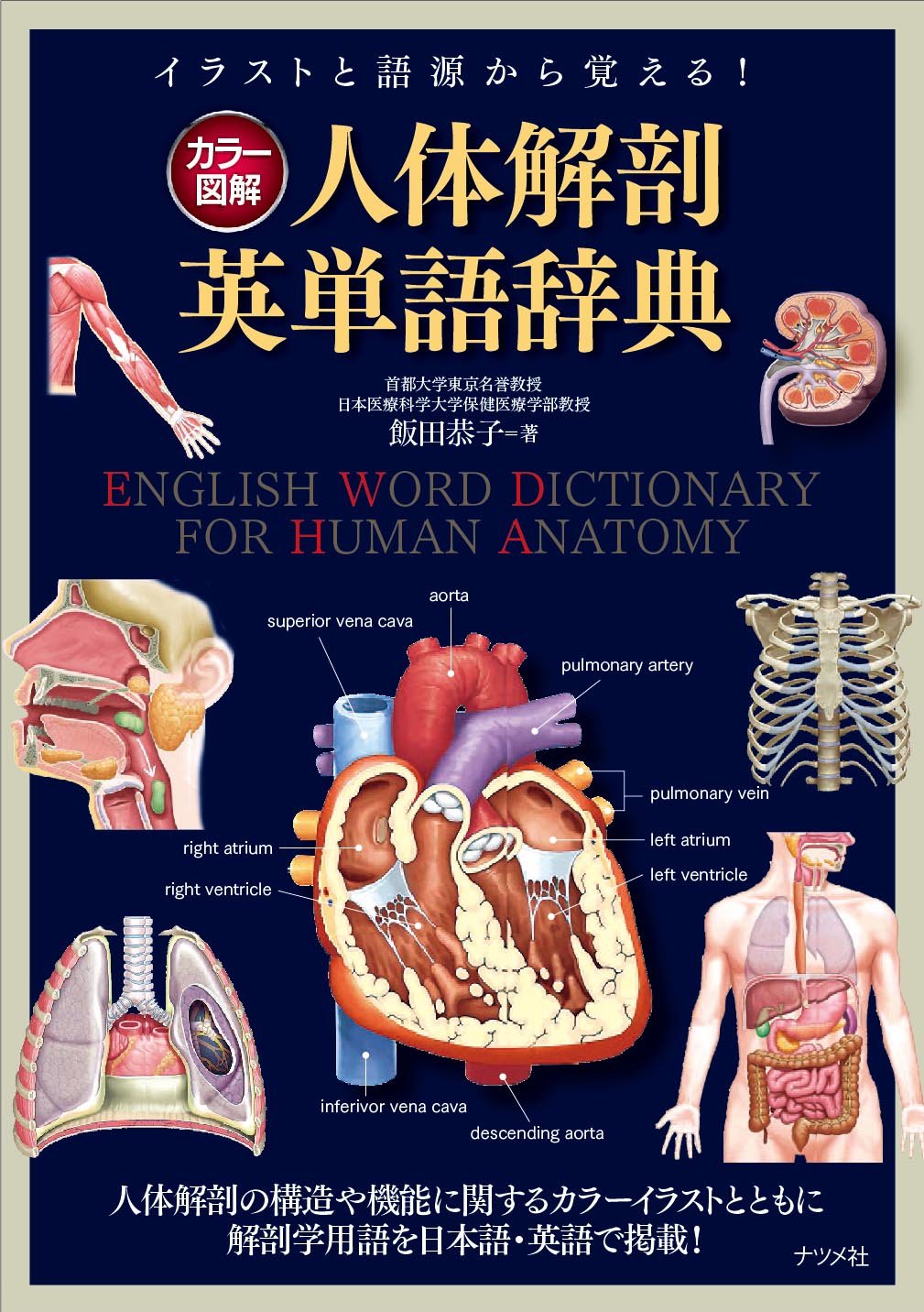 カラー図解 人体解剖英単語辞典 飯田 恭子 本 通販 Amazon