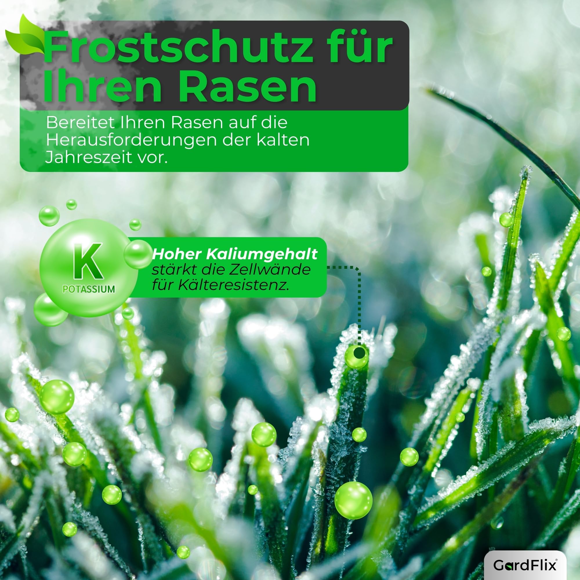 Gardflix Herbstdünger Rasen Langzeitwirkung (5kg Sack für 250m²) | Rasendünger Herbst verdrängt Moos | Frostschutz & Winterfester Rasen | Staubarmer Granulat für Streuwagen | Sicher für Kind & Tier 3