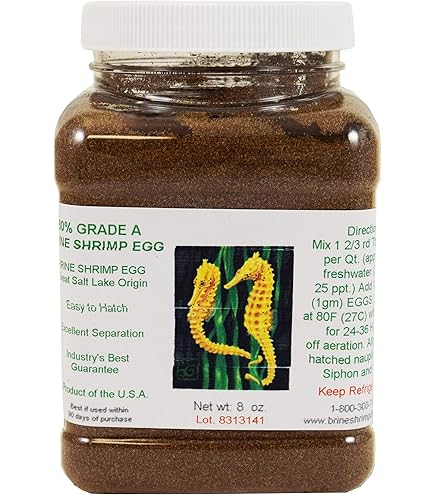 brine eggs様注文専用(他のお客様はご遠慮ください) Amazon.com: Decapsulated Brine Shrimp Eggs (Non-Hatching), 8