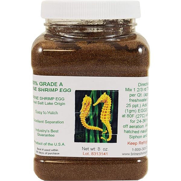 Amazon.com: Premium Grade Brine Shrimp Eggs, 1.75 oz (90