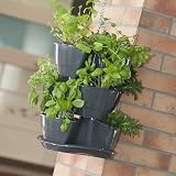 Prosperplast Coubi DKN300W Herb Planter 29.5cm Dark Grey 12-Piece Set view 2