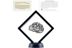 DANCING BEAR Real Meteorite Extra Large (20-32g) Genuine Form Campo Del Cielo Argentina, Certificate of Authenticity, Display Case, ID Card, Space Rock, Assembled in The USA