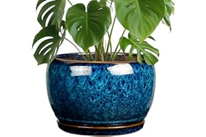 SQOWL 10 Inch Plant Pot - Ceramic Planter Pot with Drainage Hole and Saucer, Decorative Plant Pot for Indoor Outdoor Plants, Round Large Planter Flower Pot, Blue