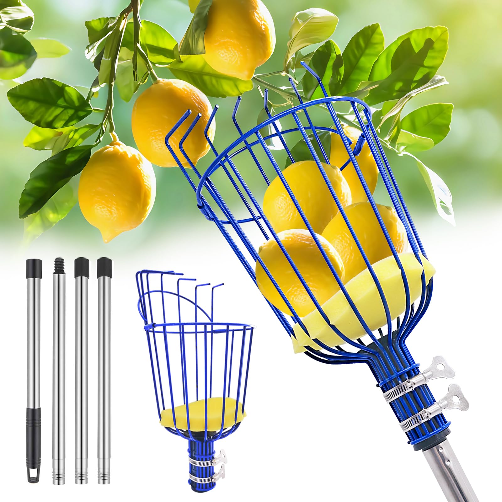 Photo 1 of RAIN SPIRIT Fruit Picker Pole with Basket Telescoping tool extension fruit picking rod, Mango Picker, orange picking equipment, fruit picking basket with Adjustable stainless steel rod (6 ft)