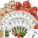 LYKOCLEAN Hydroponic Seed Pod Kit Compatible with