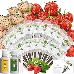 LYKOCLEAN Hydroponic Seed Pod Kit Compatible with