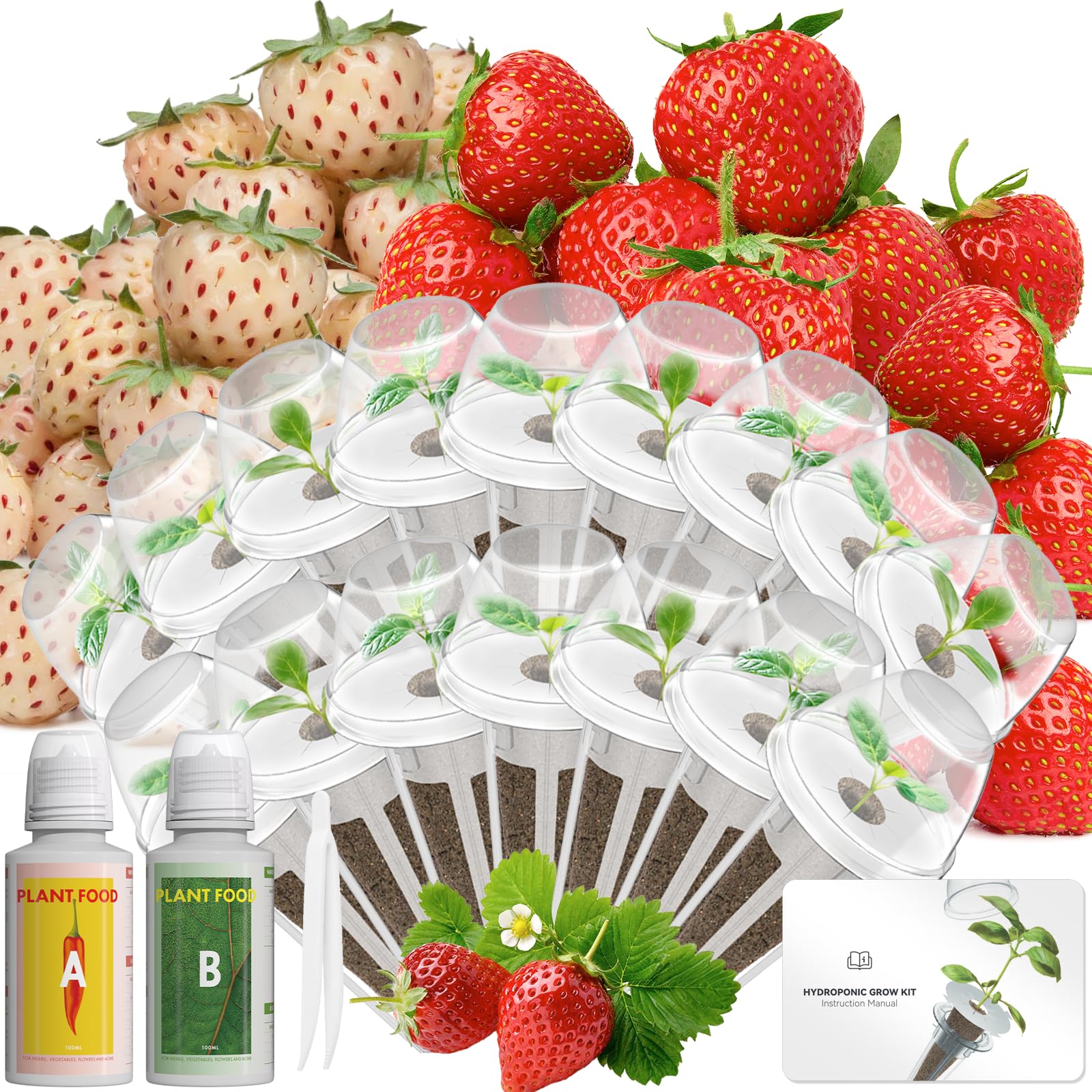 LYKOCLEAN Hydroponic Seed Pod Kit Compatible with