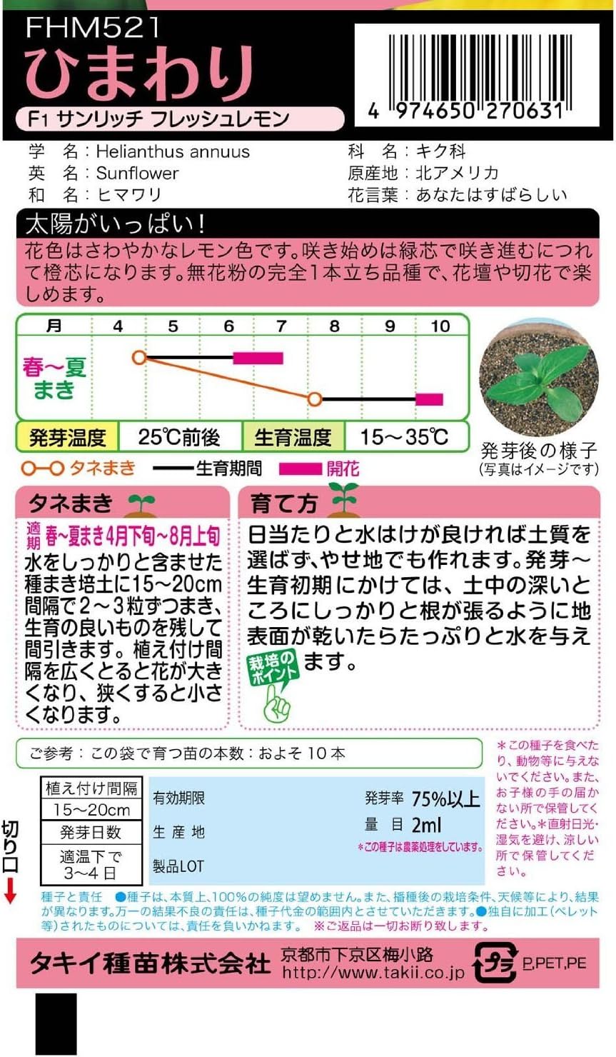 Amazon Co Jp 種子 ひまわり F1 サンリッチ フレッシュレモン タキイ種苗のタネ ホーム キッチン