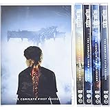 Falling Skies: The Complete Series [DVD]