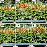 AISITIN Solar Fountain with 6 Nozzles Floating Pond Pump Garden Water Feature view 6