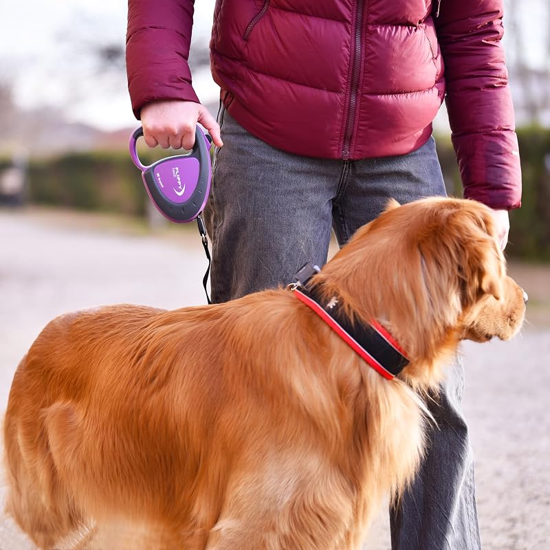 Laisse Chien Enrouleur Flippy Tech, Laisse pour Grands Chiens jusqu'à 50 Kg. Sangle Extensible Max 5 m. Bouton de Verrouillage et de déverrouillage Unique, Violet
