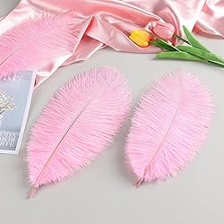 THARAHT Pink Ostrich Feathers 24pcs Natural Bulk