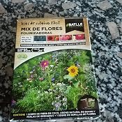 Huerto Urbano - Mix de flores Zonas sombrias - Batlle: Amazon.es ...