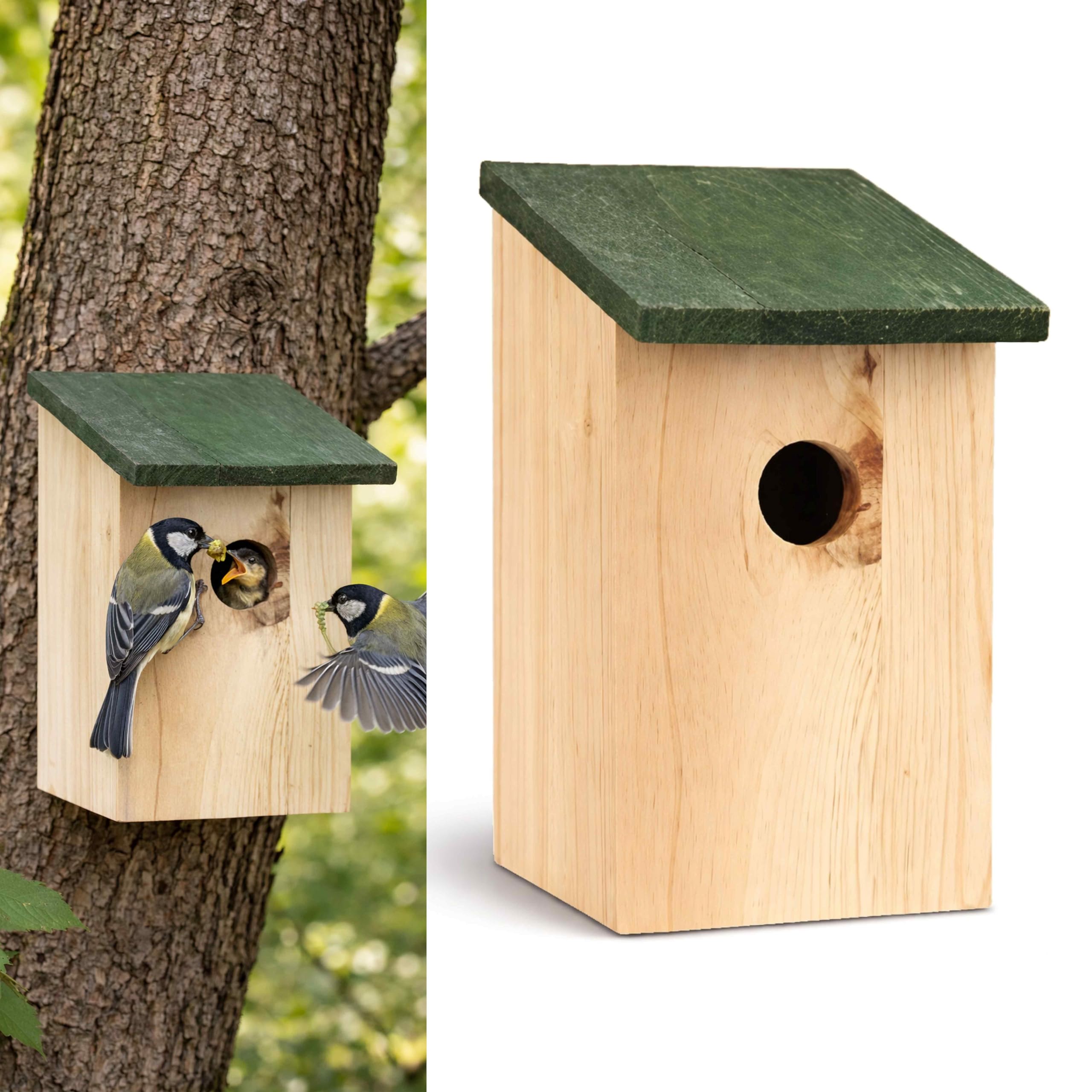 ADEPTNA Wooden Wild Bird Nest Box Bird House for Small Birds Sparrows Blue Tit Great Tits Robin – Ready Assembled