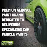 Autotek Professional Gloss Black Wheel Spray Paint 500 ml High Covering Power view 7