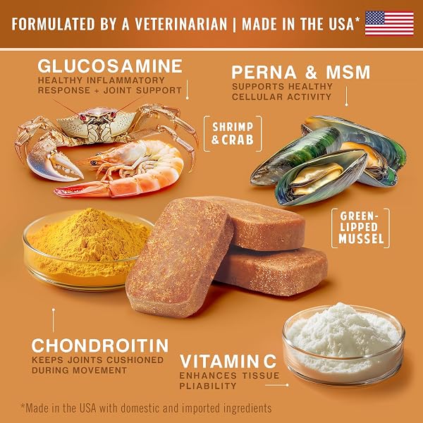 GARGEER HIP & JOINT MOBILITY HEALTH SUPPLEMENT. RICH WITH NATURAL GLUCOSAMINE, MSM AND GREEN LIPPED MUSSEL. VET CREATED – FOR ALL DOG BREEDS & AGES. 160 DUCK FLAVOR SOFT CHEWS. MADE IN THE USA. ENJOY!