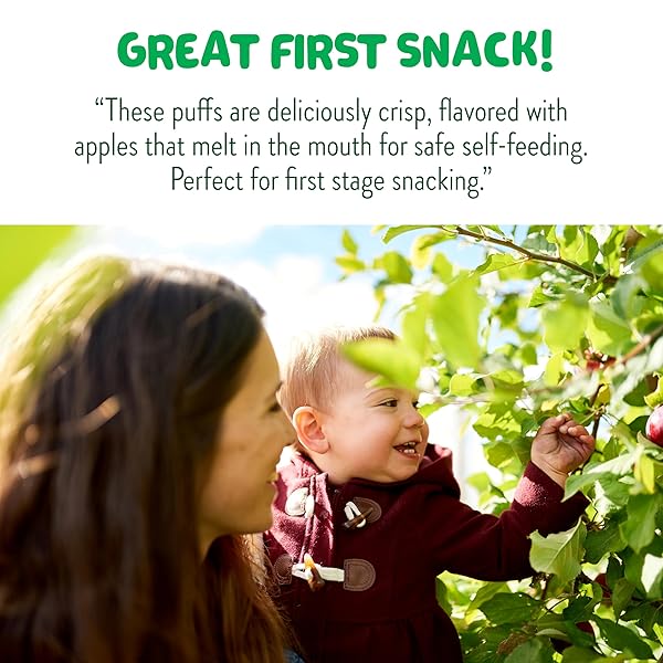 LITTLE BELLIES ORGANIC PUFFS VARIETY PACK, BLUEBERRY & APPLE AND CINNAMON (PACK OF 18)