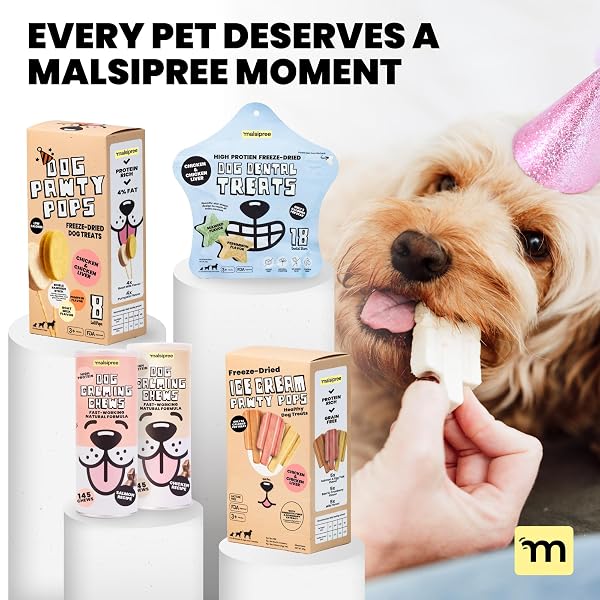 MALSIPREE DOG BIRTHDAY TREATS – PUPPY ADOPTION GIFTS & PUPPY TRAINING SUPPLIES – FUN DOG LOLLIPOPS & HEALTHY PET ICE CREAM ALTERNATIVE – CUTE ACCESSORIES & PHOTO PROPS – 8 PACK