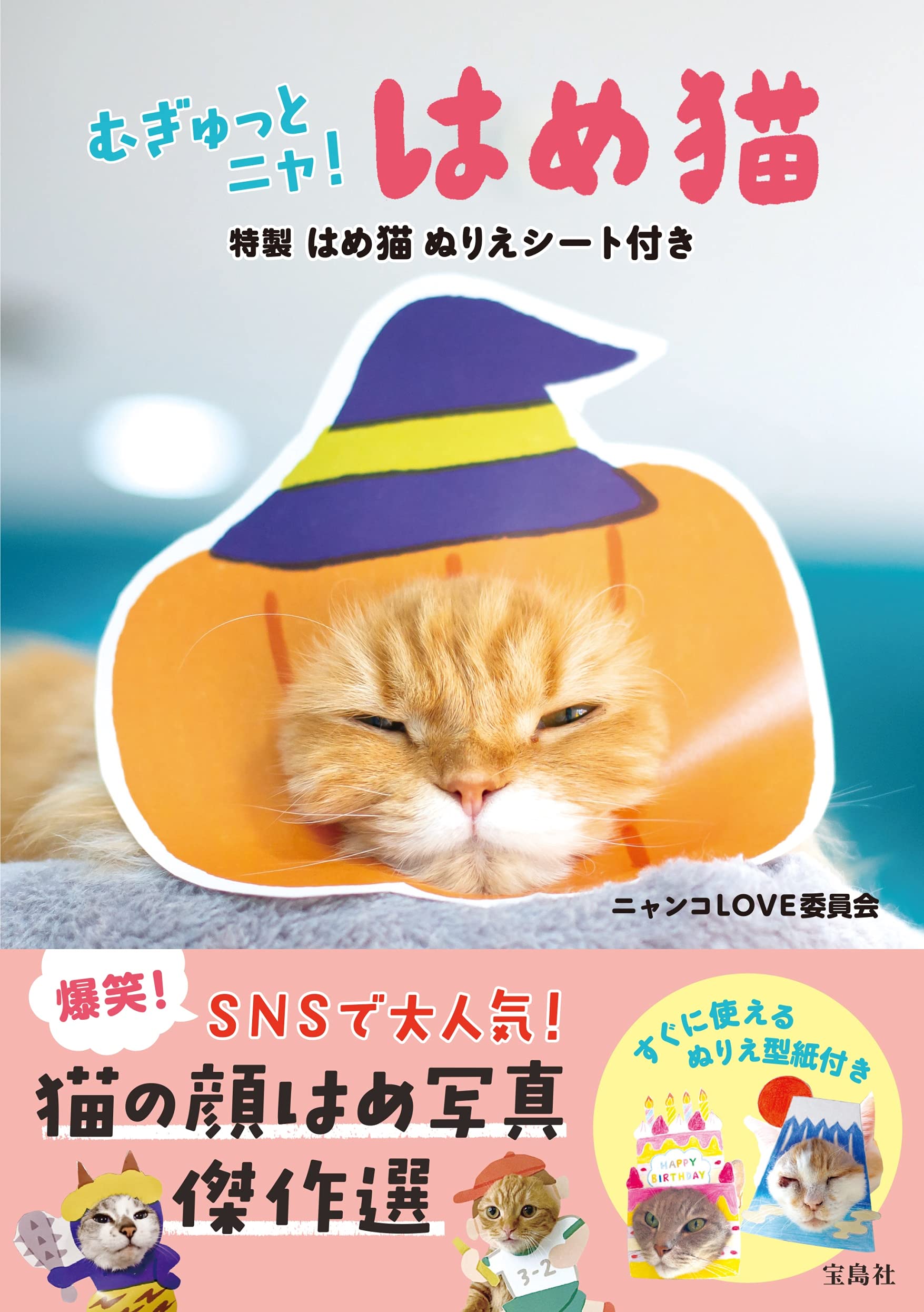 むぎゅっとニャ はめ猫 特製はめ猫ぬりえシート付き ニャンコlove委員会 本 通販 Amazon