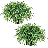 Juxdp 21" Artificial Ferns Plants Topiary - 2 Set for Front Porch Decoration,Fake Boston Fern Potted Plants Faux Greenery Bush UV Resistant for Outdoor Indoor Door Garden Farmhouse Home Decor (Green)