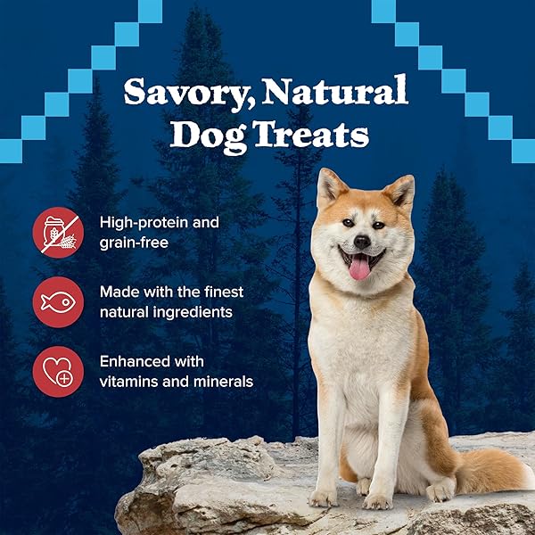 BLUE BUFFALO WILDERNESS TRAIL TREATS WILD BITS TRAINING TREATS FOR DOGS, GRAIN-FREE DOG TREATS, SALMON RECIPE, 10-OZ. BAG