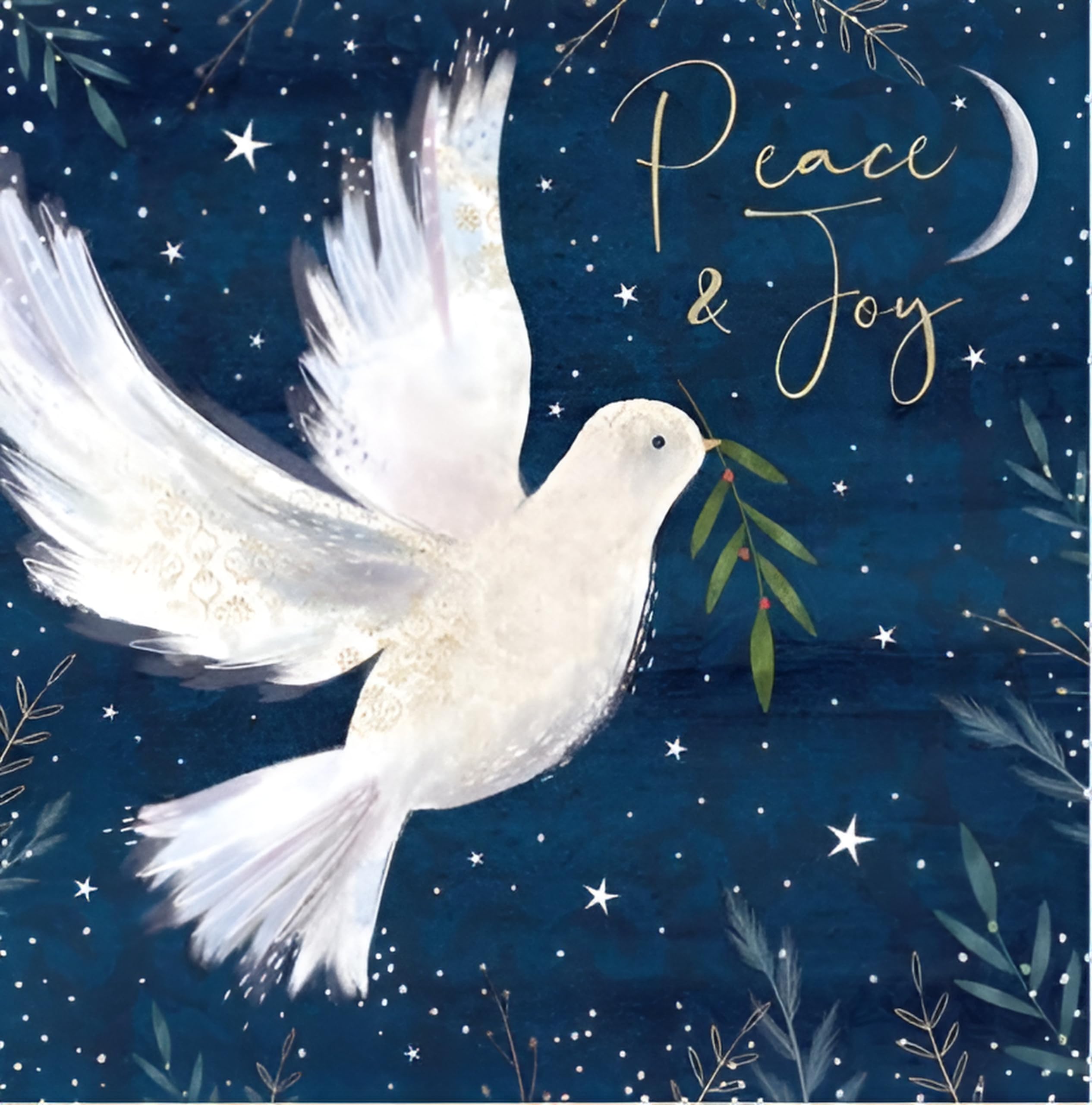 Noel Tatt Charity Christmas Cards Pack of 10 - Dove and Moon Design - Religious Christmas Cards Multipack - In Aid of UK Charities