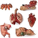 Halloween Blood Props Fake Scary Severed Hand Broken Body Parts for Haunted House Halloween Vampire Zombie Party Decorations 