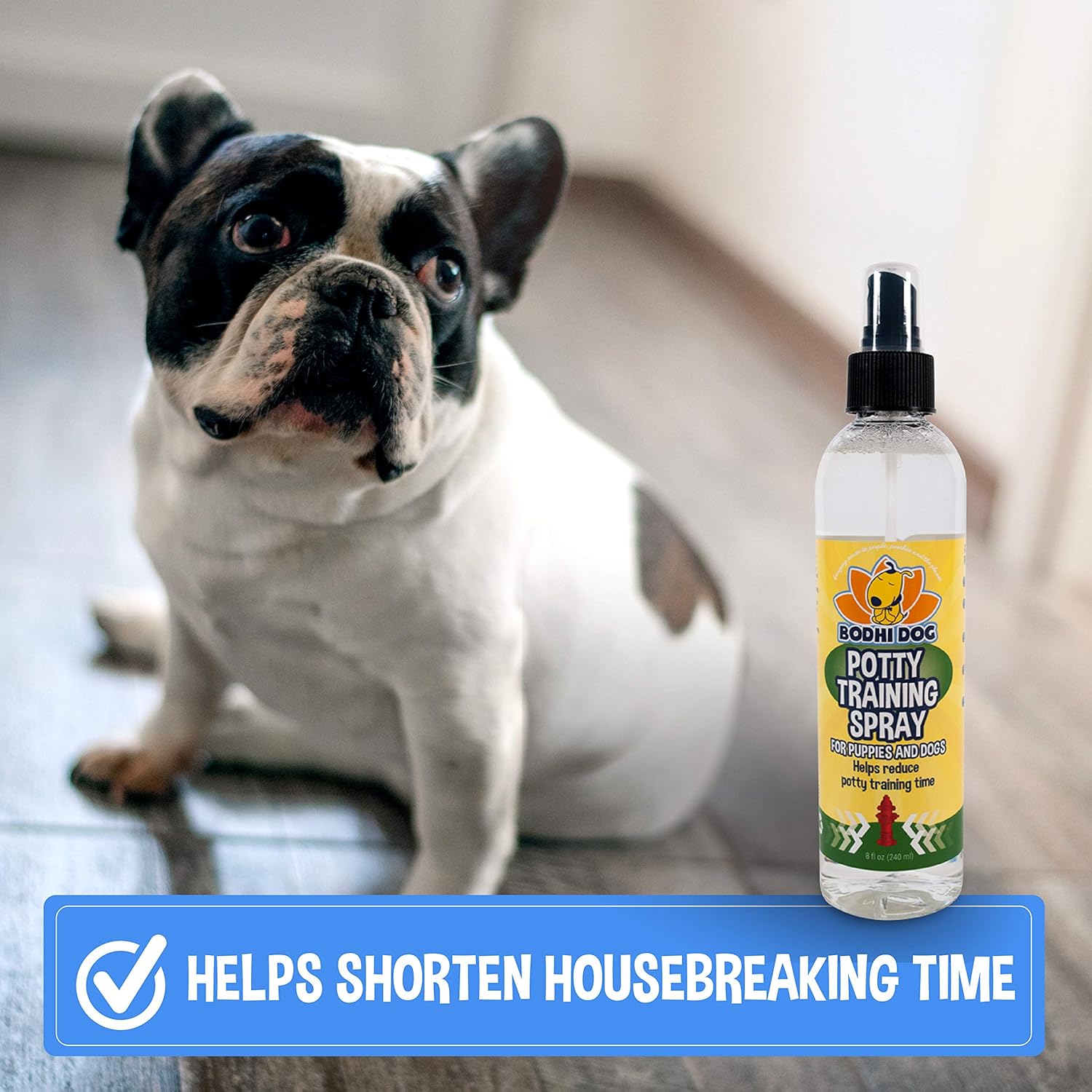 Bodhi Dog Potty Training Spray | Indoor Outdoor Potty Here Training Aid for Dogs & Puppies | Puppy Potty Training for Potty Pads | Made in USA | 8oz : Pet Supplies