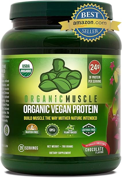 Amazon Com Organic Vegan Protein Powder Great Tasting Chocolate Flavor W 24g Of Protein 100 Organic Plant Based Protein Blend Of Pea Hemp Rice Protein Chia Seed Flax Seed 760g Health
