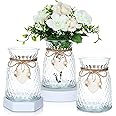 Tiangrid 3 Pcs Glass Bud Vases with Twine Rope and Heart Labels 6.3 Inch Boho Vintage Glass Vase Flower Decorative Glass Vase for Centerpieces Christmas Holiday Wedding Home Table Decorations (Clear)