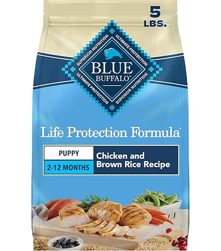 amazon circulating water bowls for cats 2L Fountain Fresh Pet Water Filter Bowl main image 0