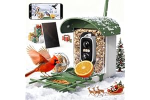 Bilibara Bird Feeder with Camera, 10000 AI Smart Bird Feeders Solar Powered, 2.4G WiFi, 2K HD and Instant Alerts, Bird House Feeder for Outdoors, Ideal for Parents, Lovers(Green)