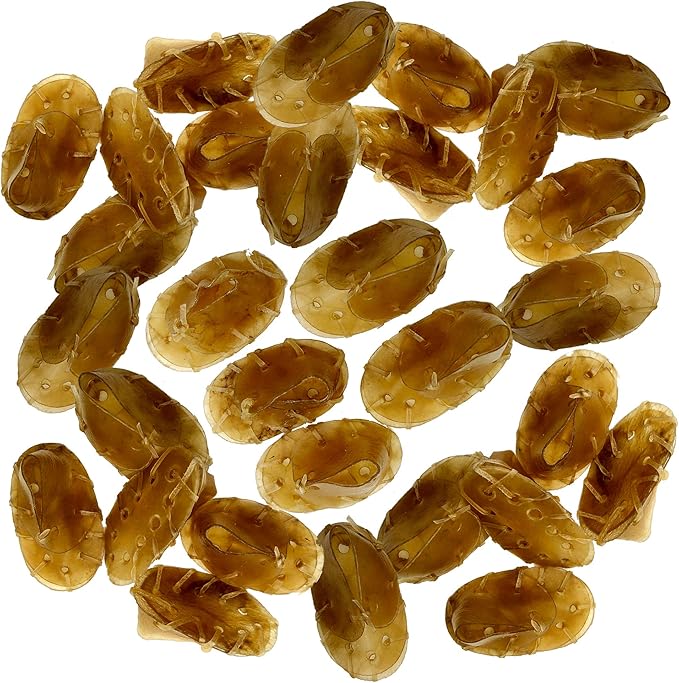 30pk Rawhide Dog Shoes NonToxic Dog Chewy Shoes Low Fat, High In