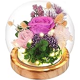 Vesbobo Eternal Rose Flowers, Unique Rose Preserved Flower Rose Gifts in Glass Dome for Women, Mom, Girlfriend,Home Decor Gifts for Birthday, Anniversary, Christmas, Wedding.