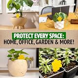 Super Ninja Fungus Gnat Killer 30 Pack Indoor Plant Traps Non-Toxic Yellow view 7