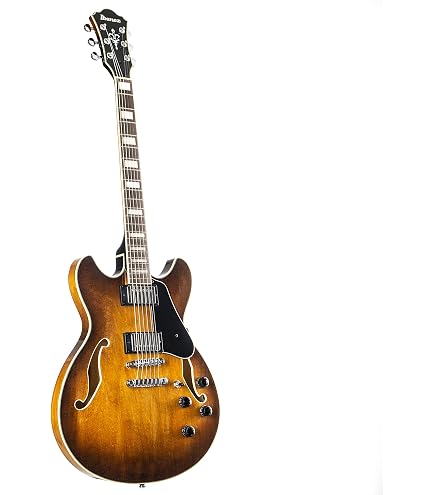⭐︎Custom HardAged Ibanez Artcoreセミアコ⭐︎ Amazon.com: Ibanez Artcore Expressionist AG95QA - Sunburst marrón