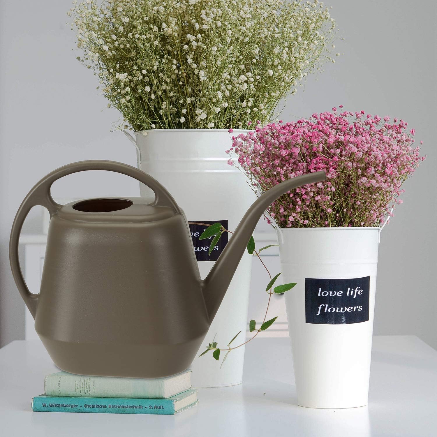 Fasmov Plastic Watering Can, Gray, 1-Gallon : Garden & Outdoor