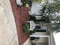 Review Image by Lildixie Lildixie