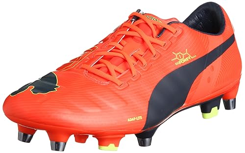 evopower 1