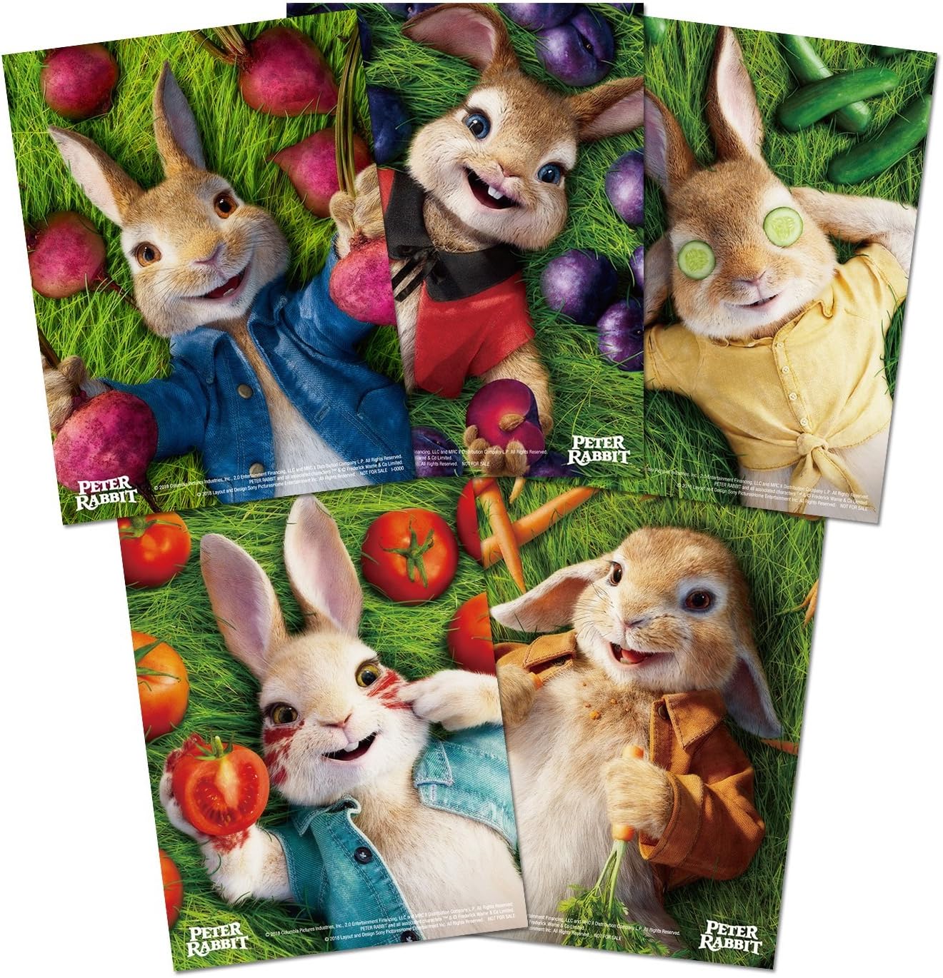 Amazon ピーターラビット ブルーレイ Dvdセット 初回生産限定 Blu Ray 映画