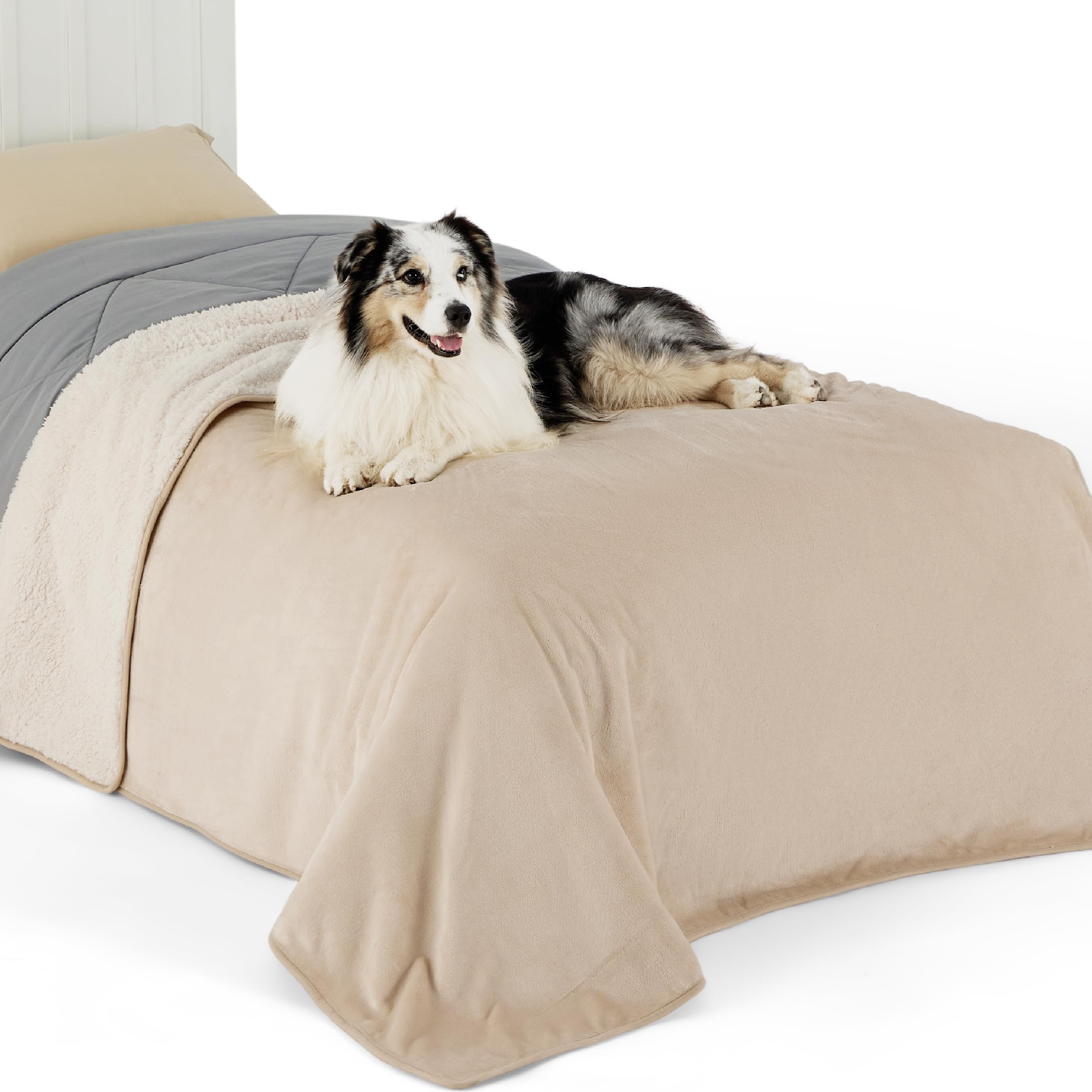 LE SURE Waterproof Fleece Blanket Washable - 152x203cm Blanket For People and Large Dogs, Versatile Twin/Double Dog Throw Protects Bed and Sofa with Soft Plush, Cream