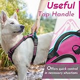 Eagloo Small Dog Harness Adjustable Front Clip No Pull Reflective Rose Red S view 5