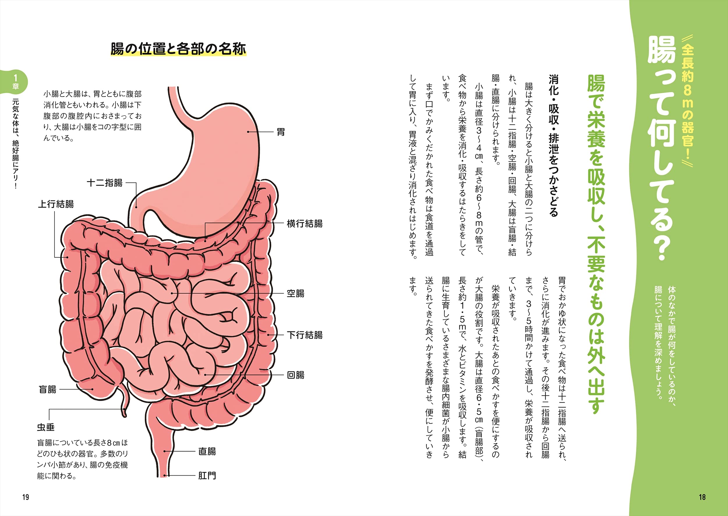 自律神経が整う身体が生まれ変わる マンガでわかる 不腸リセット 江田 証 本 通販 Amazon