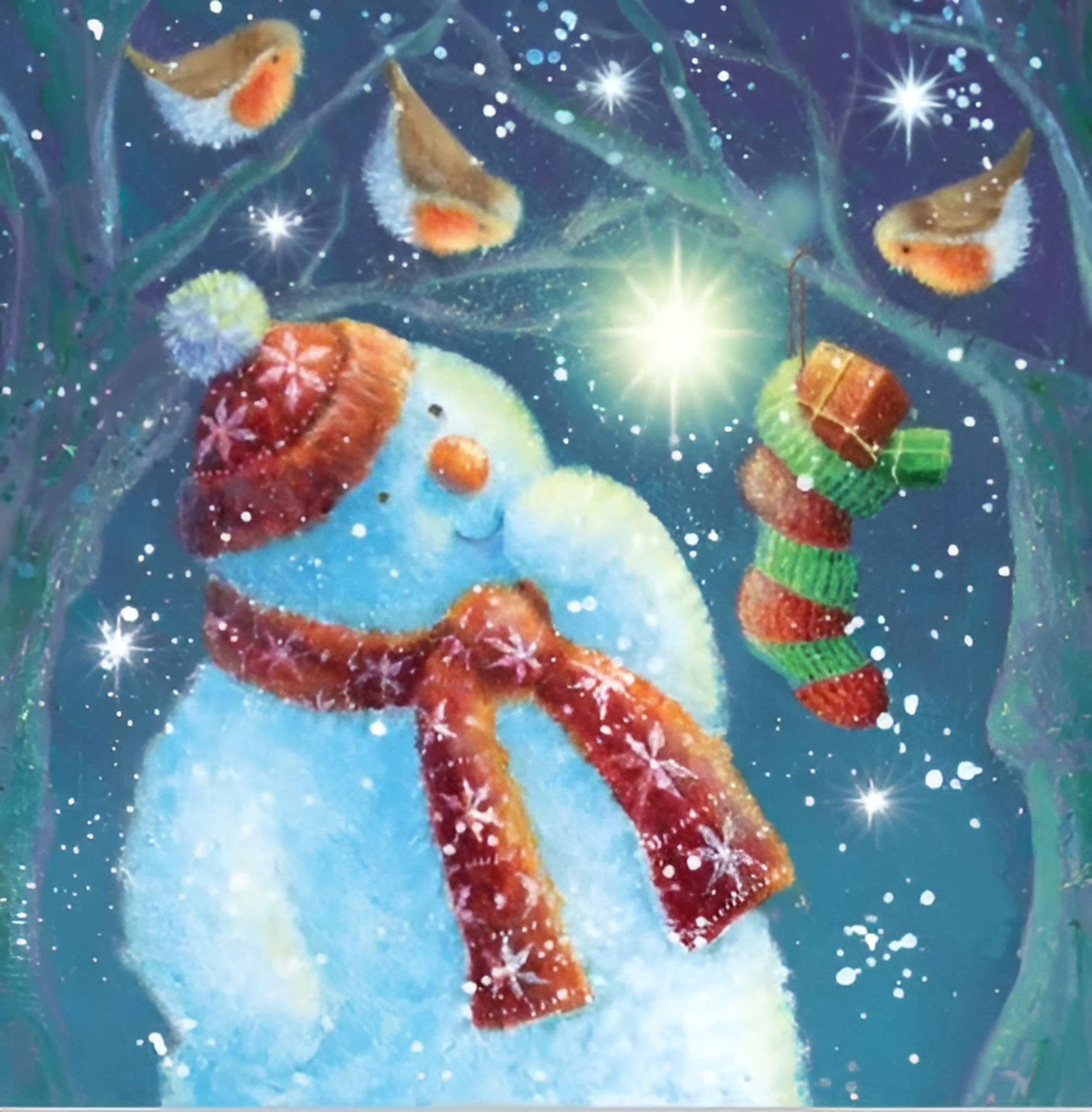 Noel Tatt Charity Christmas Cards Pack of 10 - Charity Christmas Cards with Robins and Snowman Design - Eco-Friendly Xmas Cards Multipack with Envelopes