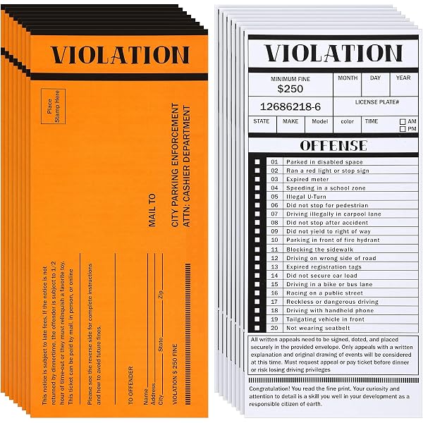 Amazon.com: Patriot Web Design Fake Parking Tickets - Pack of 100 : Toys &  Games