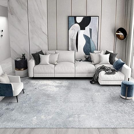 Amazon リビング ベッドルーム プレイマット オールシーズン カーペット カーペットラグモダンなスタイル ホームデコレーション 80cm 160cm リビングルーム ベッドルーム コーディネートしやすい ラグ カーペット オンライン通販