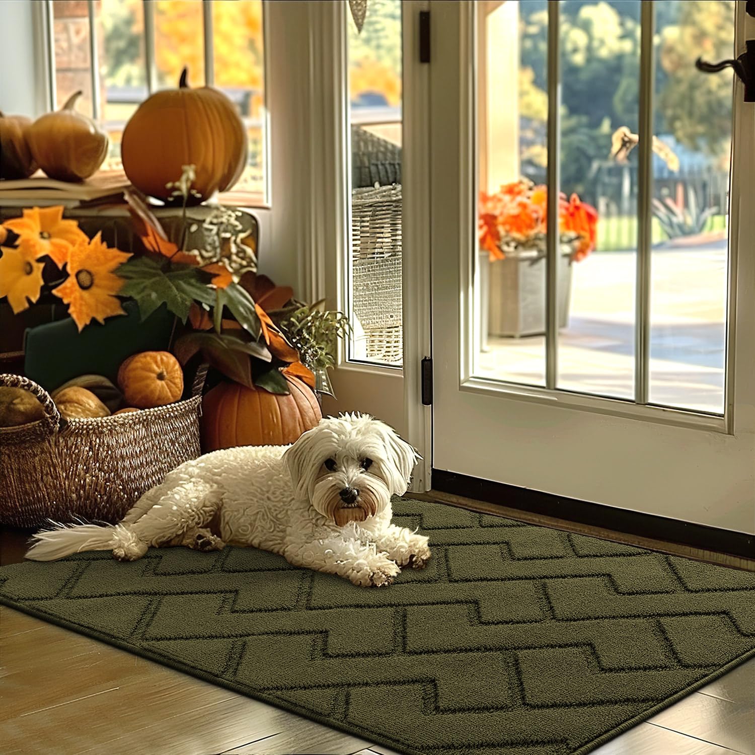 hicorfe Indoor Door Mat,Non Slip Door Mats,32"x48" Front Back Door Mat Rubber Backing,Absorbent Resist Dirt Entrance Inside Floor Mats for Entryway Washable Low-Profile(Oliver Green) Image
